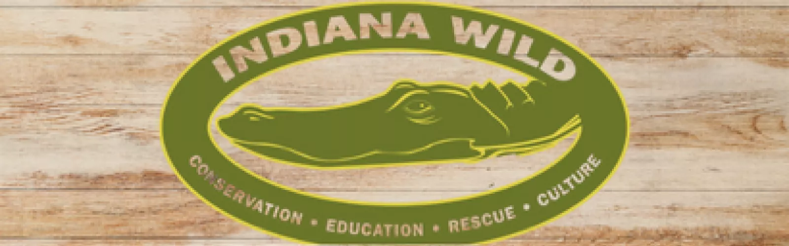 Indiana Wild logo on a wooden background